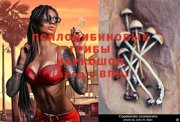 амф Аркадак