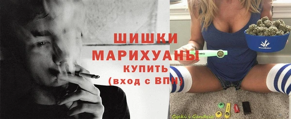 амф Аркадак