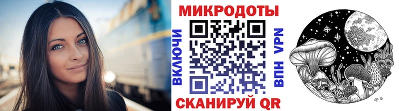 Галлюциногенные грибы Psilocybine cubensis  Палласовка 